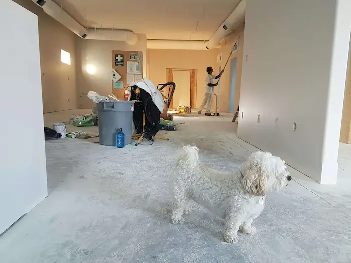 Une maison en pleine rénovation, le propriétaire a décidé de faire le diagnostic immobilier avant de mettre en location son logement étudiant 