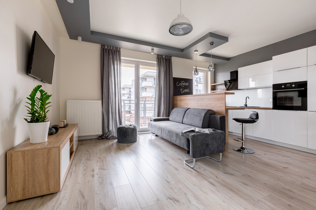 Location meublée non professionnelle
