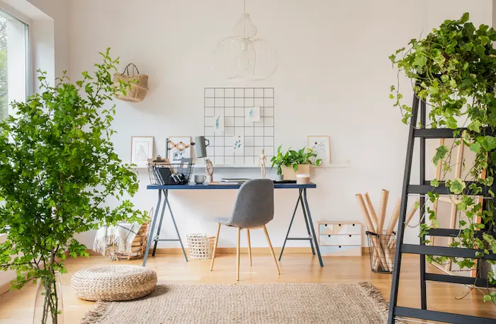 Image d'un logement étudiant Marseille, un appartement moderne et bien décoré avec des plantes